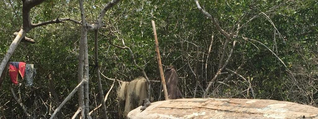 Le chukteo ob je elo oba naats ti Cartagena de india, Colombia, ma chen ku ts áik tu ux u yaantal le ajchuk kayo obo yéetel u ts áik jump éel ma alob