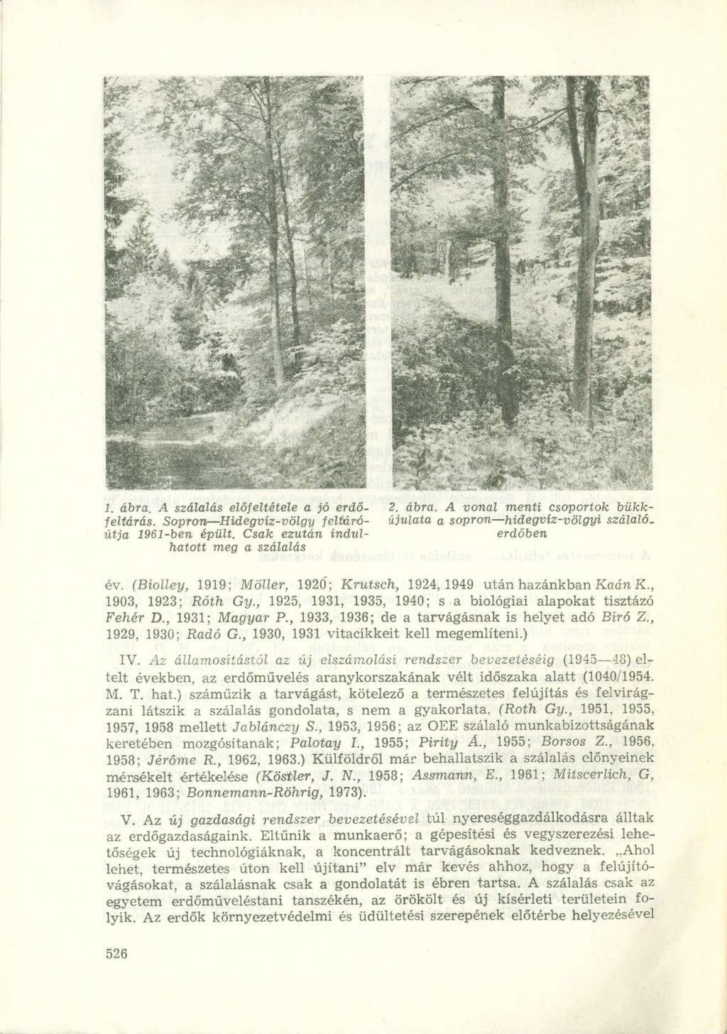 1. ábra. A szálalás előfeltétele a jó erdő- 2. ábra. A vonal menti csoportok bükkfeltárás. Sopron Hidegvíz-völgy feltáró- újulata a sopron hidegvíz-völgyi szálaló. útja 1961-ben épült.