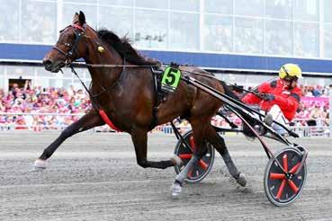 10 Velence R. 1900 m Juhász Balázs (168,20-55) (Fehér, kék váll, kék mandzsetta) 3 pk Exploit Caf - Filigrán / Witsend's Speedy Juhász Balázs Istálló: M. i. 19.4 19.4-424000 Ft Élet stat.