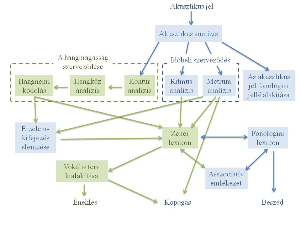 A zenei észlelés moduláris modellje neuroanatómiai szempontból Asztalos, 2016:21.
