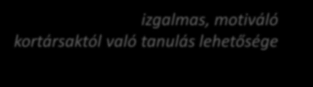 alaptípusai (1.