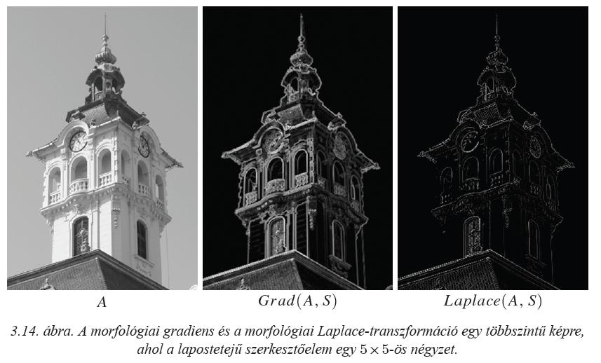 Morfológiai gradiens és Laplace-transzformáció Forrás: Palágyi Kálmán