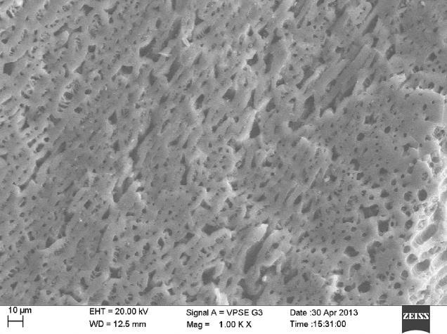 Due to the hydrophobic nature of the polypropylene, the pores are air-filled even if the membrane tubing is put under water (Schubert et al., 2008).