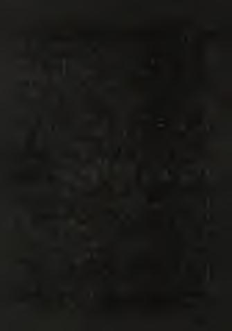 Under special conditions the phenomenon may occur that though the sediment surface is not oxidative but rather poor in oxygen or anoxic, the slight thickness of the anoxic layer and the simultaneous