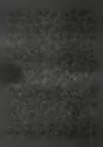 In the intersection of the interface of oxygen-poor and oxygen-rich water layers and of the basement (margins) first of all Mn-oxide mineral will accumulate.