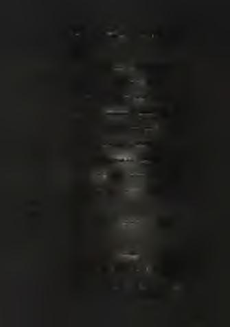 Úrkút, sh a ft No.