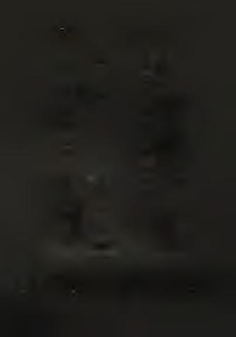Fe20 3, MnO, S^~, SO3-, Co) and r e la tio n s h ip s o f some elem ents ( S