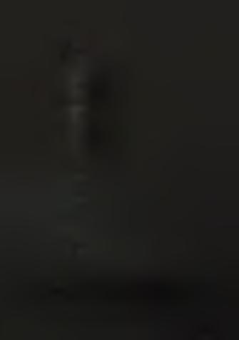 Fe20 3, MnO, S^- ) and r e la t io n s h ip s o f some e lem ents ( S i/ A