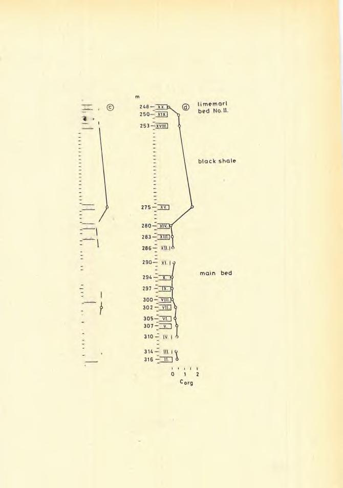 stra tig ra p h ic position m, s a m p l e 2 A 8 - ; XX l 0 2 5 0 ^ ; x g j 2 5 3 - j ] x