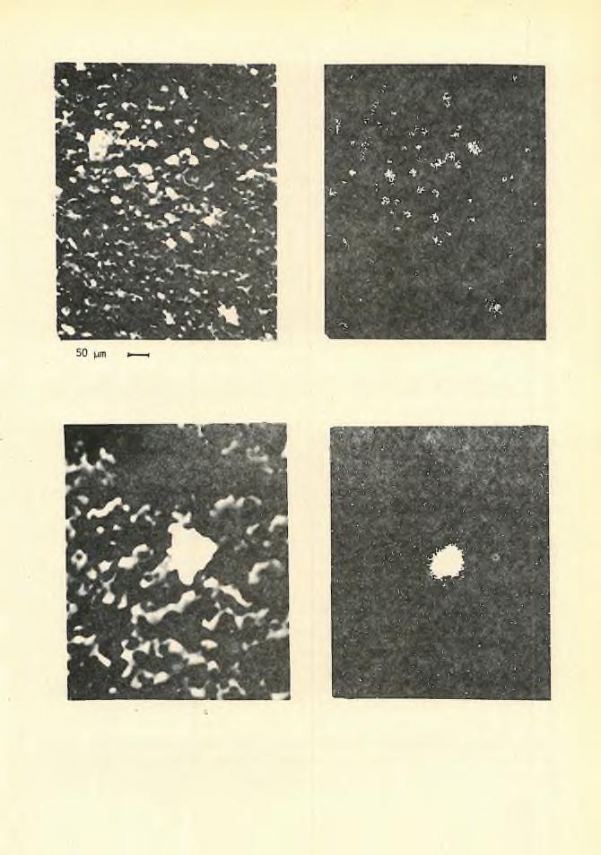 F ig. 18a. Backscattered e le c tro n image. F ig. 18b. Co X -ray p ic tu re Sample Z 6.