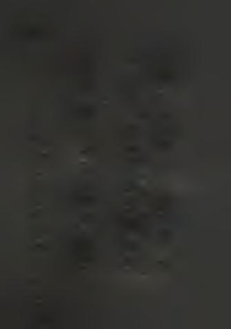 position o f samples according to m ineral