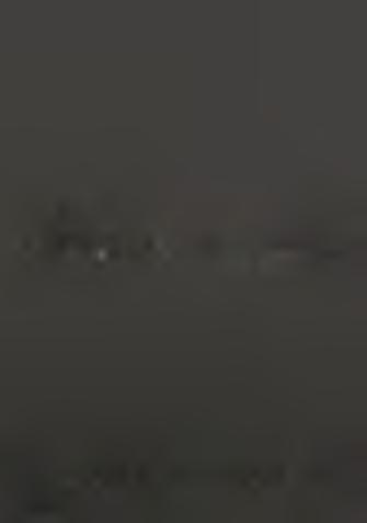 5 0 pm 5 0 pm F ig. 20a. B ackscattered e le c tro n image. Sample GR 5. The F o ra m in ife r t e s t is impregnated by Mn F ig. 20b. Backscattered e le c tro n image. Sample GR 16.