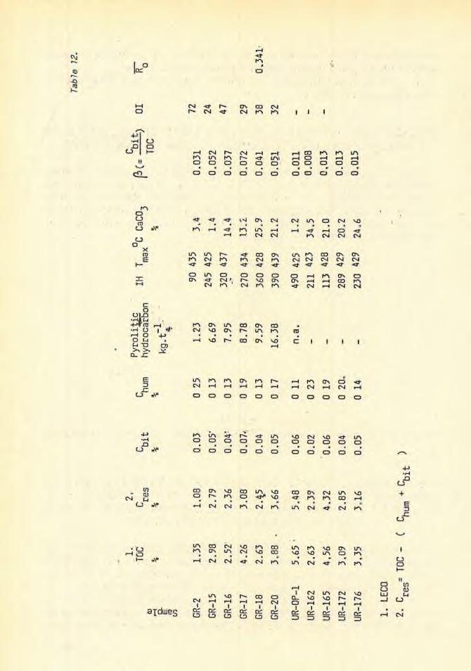 172 Geochemical and p y r o l i