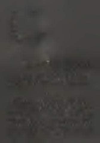 , n o rth e rn p a r t o f th e w estern mine f i e ld ( P o l g á r i e t a i., 19 9 1).
