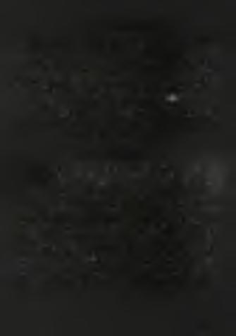 Surface waters were characterized by high biological productivity, the bottom waters, however, could be oxygen-poor (oocasionally oxygen-free, anoxic) due to the developed water stratification that