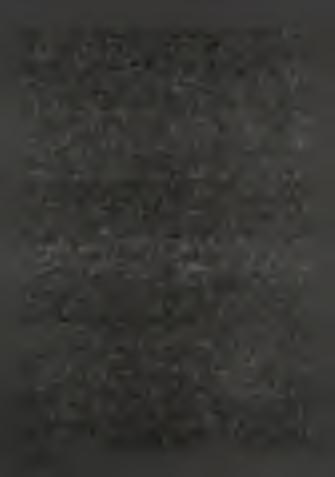 light HC03" formed from the organic matter decomposition by Fe3+ or sulfate reduction could directly precipitate.