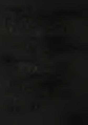 carb o n a tic Mn ore brown, f i n e - s t r a t i f i e d c a rb o n a tic Mn ore green, grey, fine- stripped carbonatic Mn ore with green siliceo u s int e r c a la t io n s b ro w n is h -g re en