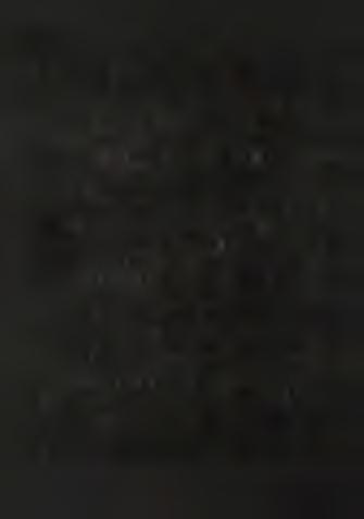 .. 135 R e s u lts o f ream bulation in v e s tig a tio n s o f the Úrkút c a rb o n a tic Mn o r e... 140 C h em istry... 140 M ineral com p osition.
