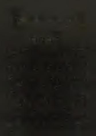 zöldesszü rk e mészmárga; 8. vörös, tú'zköves, k rin o ide á s mészkő; 9. h ie r la t z - t ip u s ú mészkő, Csárdahegy; 10.