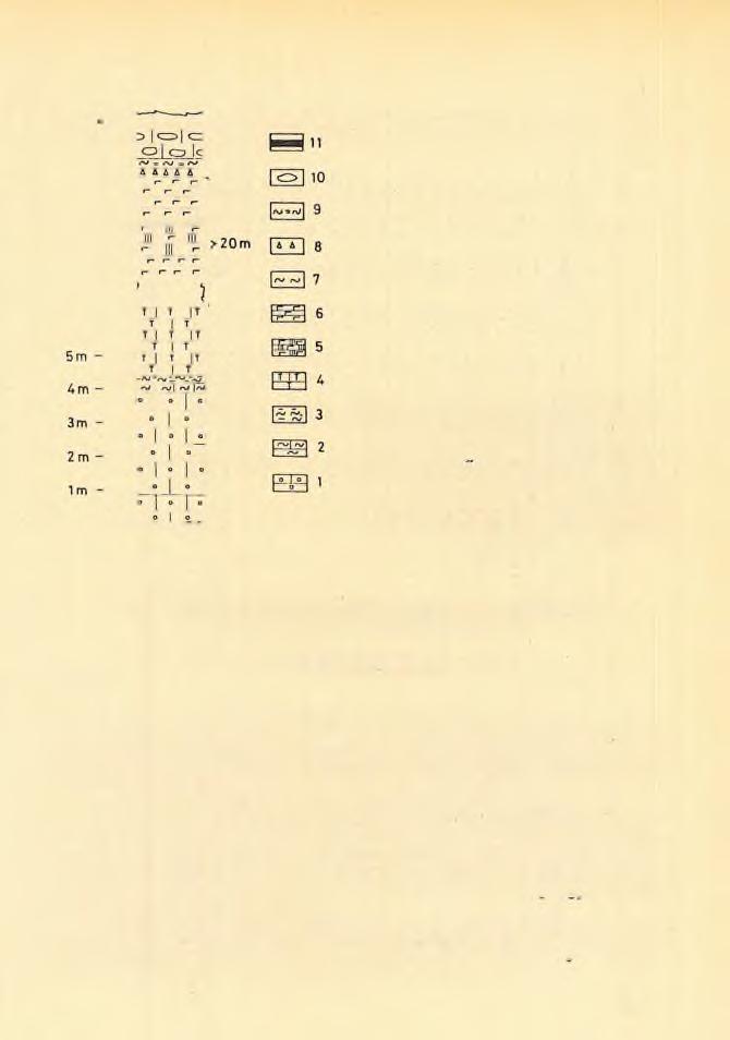 7^. ábra. Az ú r k ú ti, k is s é b o n to tt Mn karb o n á to s e l ő f o r d u l á s f ö l d t a n i s z e lv é n y e ( I I I. akna, Ny-i bányamező, É - i ré s z ). 7. vörös, gumós mészkő; 2.