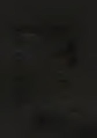 ly z e t ~i i"t"'~ r i ) 0 1