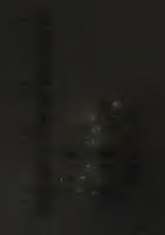 összetevőinek k o rre lá c ió s k o e ffic ie n s m átrixa (20