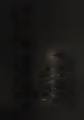inták kémiai összetevőinek k o rre lá c ió s k o e ffic ie n