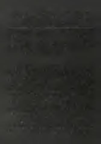 nem játszik szerepet. A negatív ö13c termelődés anaerob metán oxidáció során szintén lehetséges (DEVOL et al., 1984). A metanogén szakasznak a legvalószínűbben az érczóna alatt kellene elhelyezkednie.
