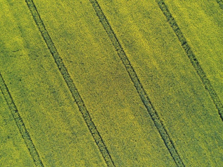 Corteva Agriscience Technológiai Bónusz program Növényvédő szer értékesítési k TERÜLETI KÉPVISELŐINK MEGYE TELEFONSZÁM Bálint Sándor Győr-Moson-Sopron, Komárom-Esztergom és Vas megye (30/970 2860