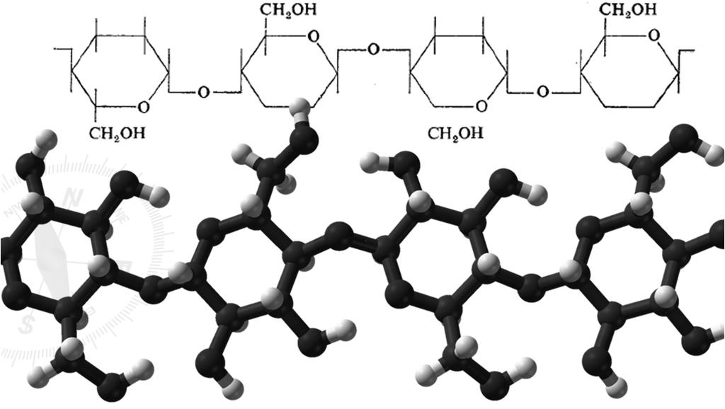 anomer módosulatok