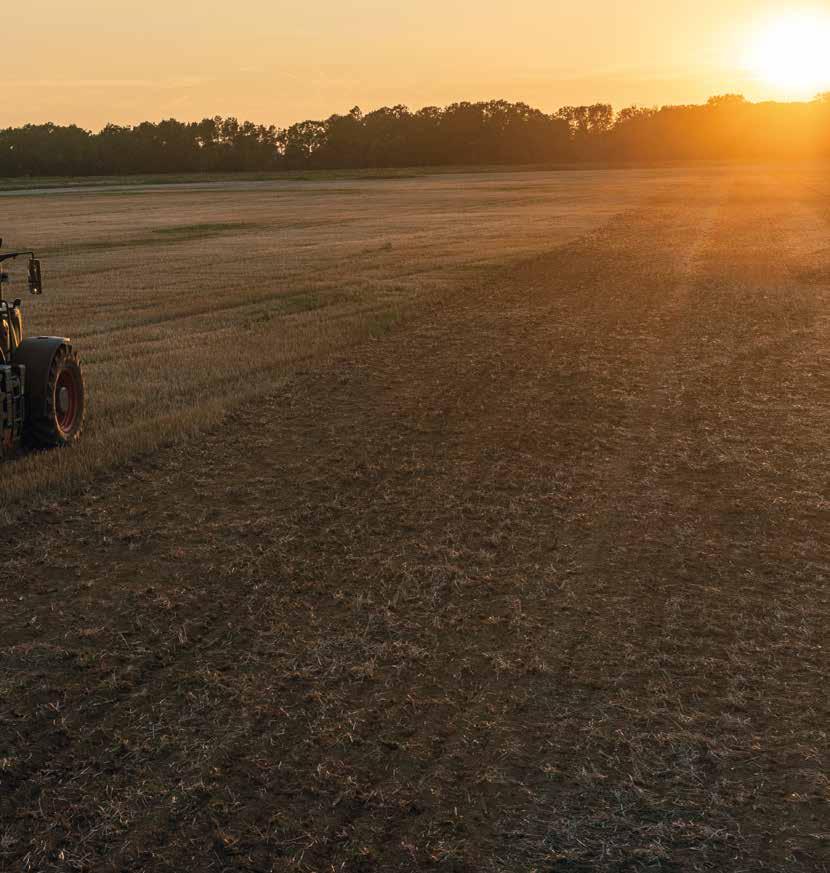 művelést alkalmazunk. A tarlóhántás során a kikelt kihullott gabona és gyomnövények mechanikus megsemmisítése történik.