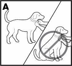 Tegye fel az Ugatásgátló Nyakörvet a kutya nyakára minél közelebb annak füleihezwt Igazítsa középre az Ugatásgátló Nyakörvet a kutya nyaka alatt úgy, hogy a Be-/Kikapcsoló gomb felfele nézzen. (B). 4.