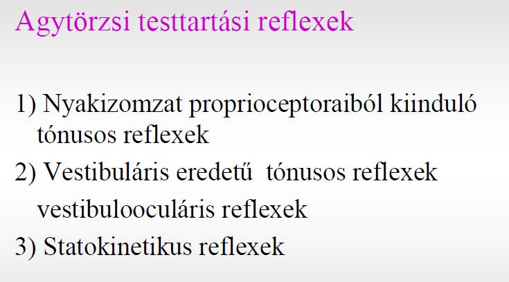 Tónusus nyaki reflexek Cervico-spinalis rfx.