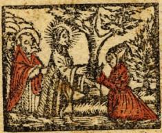 A bécsi Singriener-nyomda (1510