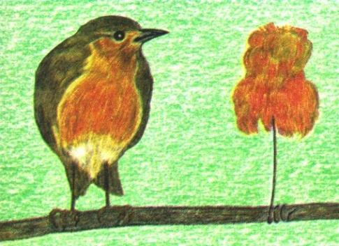 Az öröklött mozgásmintázat és kulcsinger Öröklött Mozgás Mintázat (ÖMM) 1. A faj összes tagjánál megjelenik 2. Nem tanult 3. Az elemek sorrendje állandó 4.