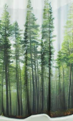 1000 Ft 1) 30x50 cm 250 Ft 50x90 cm 650 Ft