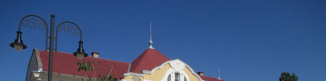 közösségi,