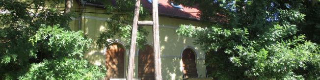megjelenése 10