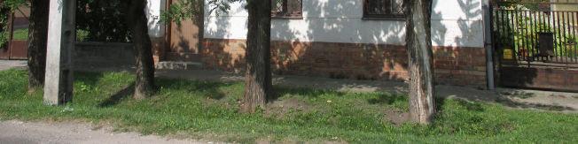2001. hrsz.