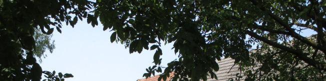 Ferenc