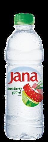 0,25 L CAN Coca-Cola