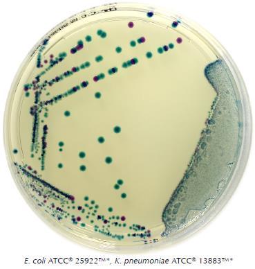 coli kimutatására alacsony bakteriális kísérő mikrobiótával rendelkező vízminták esetén a Laktóz TTC agar helyettesítésére (ISO 9308-1 alapján).