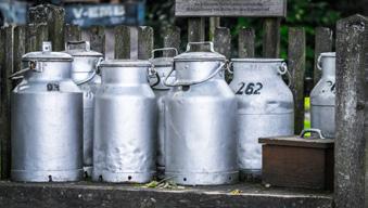 Fehér méreg: a horrorisztikus tej, amelyben olyan állításokat olvashatunk, hogy a tejben genny, vér, antibiotikum és rákkeltő anyagok találhatók, vagy, hogy a tej fogyasztása krónikus fáradtságot,
