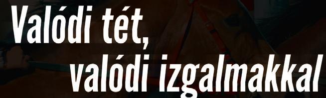 ezer 220 forintot nyert, 5 700 forint kockáztatásával.