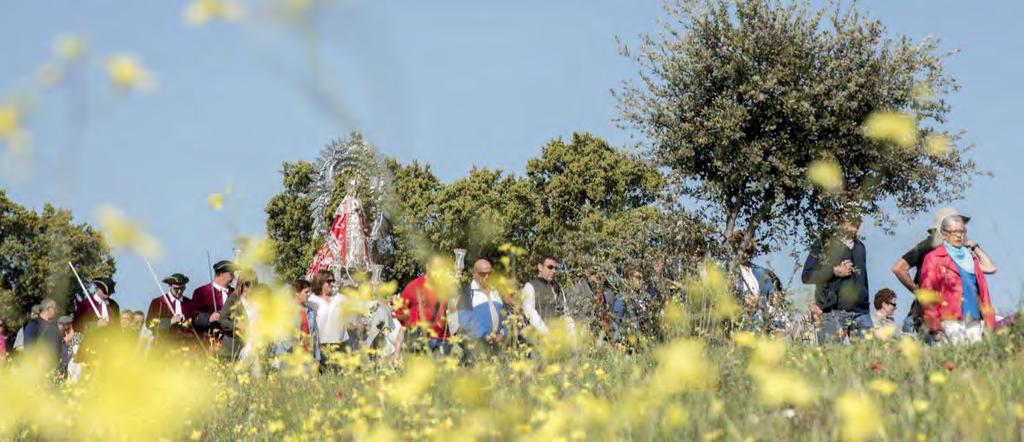 A vosotros los ausentes A VOSOTROS LOS AUSENTES Cada familia manifiesta en estos días una forma de celebrar nuestra querida fiesta de San Marcos de una forma parecida, algunas veces, llena de matices