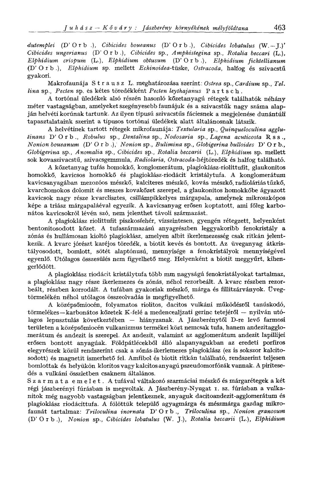 Juhász Kőváry : Jászberény környékének mélyföldtana 463 dutemplei (V О r b.), Cibicides boueanus (D' Orb.), Cibicides lobatulus (W. J.)' Cibicides ungerianus (V Orb.), Cibicides sp., Amphistegina sp.