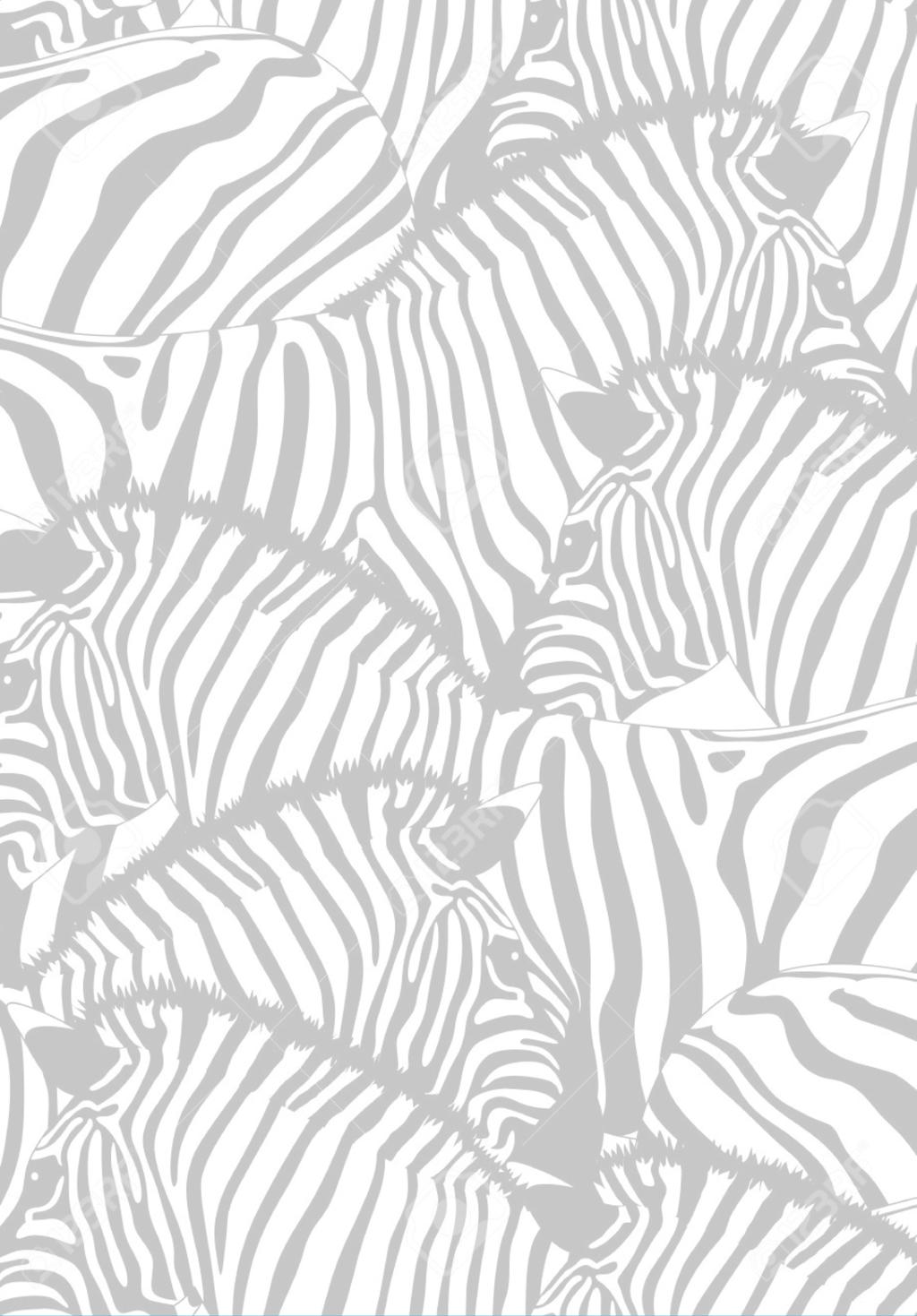 5 A Zebra termékek