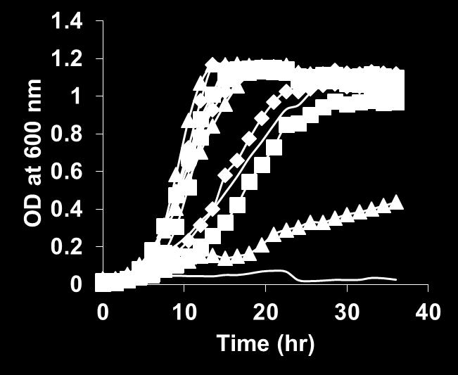 Figure S2. Optimization of xylose transport module. Bioscreen C experiment result for cell growth in minimal media containing 3.6 g/l of xylose as a sole carbon source. Symbols: Gray, C.