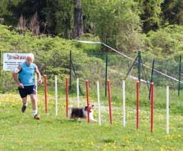 Le Club a aussi organisé 2 concours, un en agility qui a