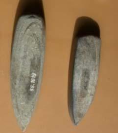 Zöldpala : zöld és